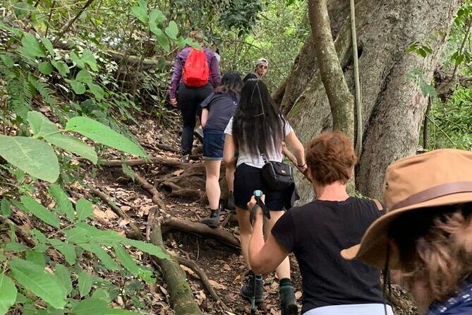 Private Canoeing, Cycling, Coffee and Hiking Tour in lake Duluti. - Final Thoughts on the Value