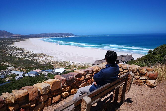 Private Cape of Good Hope and Penguins tour from Stellenbosch. - Authentic Experiences and Tips
