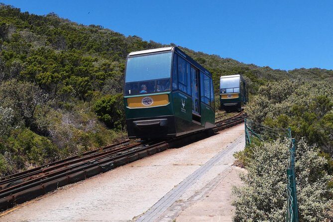 Private Cape of Good Hope and Penguins tour from Stellenbosch. - FAQ