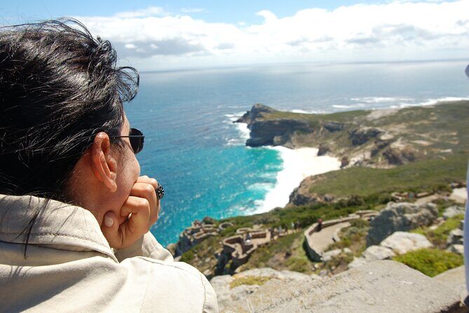Private Cape of Good Hope and Penguins Tour with Luxury Mercedes or BMW Vehicle - Frequently Asked Questions