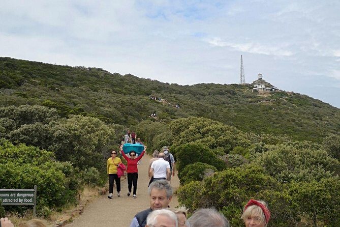 Private Cape of Good Hope Cape Point Penguin Kirstenbosch Tour. - FAQs  