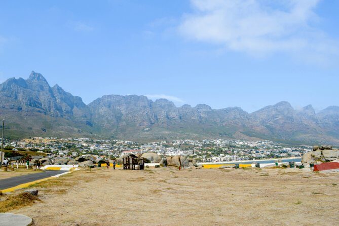 Private Cape of Good Hope Sightseeing and African Penguin Tour - Who Will Love This Tour?