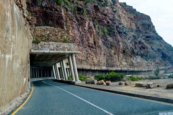 Private Cape of Good Hope Sightseeing and African Penguin Tour - FAQ
