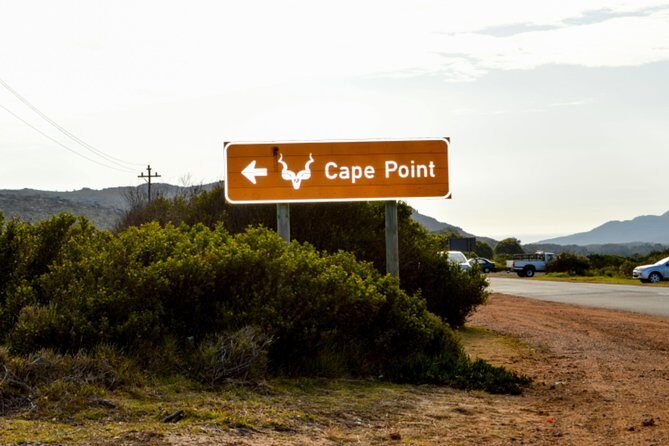 Private Cape of Good Hope Sightseeing and African Penguin Tour - Final Thoughts