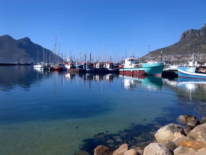 Private Cape Peninsula + Kirstenbosch Garden Guided Tour - Key Points