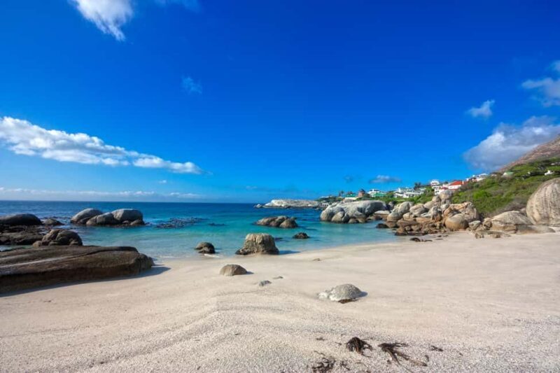 Private Cape Peninsula + Kirstenbosch Garden Guided Tour - Authentic Insights from Past Travelers