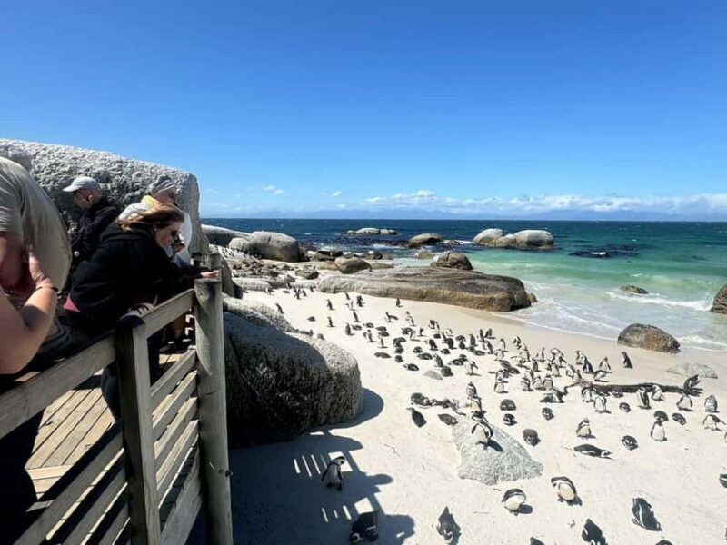 Private Cape Peninsula Tour, Penguins, Cape Point & more... - Exploring the Itinerary: A Closer Look