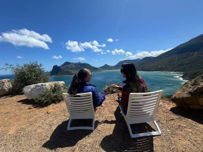 Private Cape Peninsula Tour, Penguins, Cape Point & more... - How This Tour Balances Value and Experience