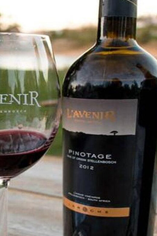 Private Cape Peninsula with Winelands Full-day Tour. - A Deep Dive into the Itinerary