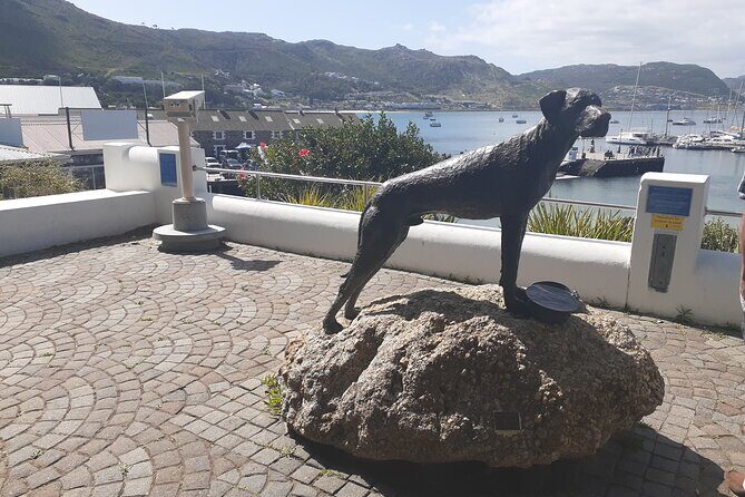 Private Cape Point / Peninsula Tour - Introduction: Why This Tour Could Be Your Perfect Cape Town Day
