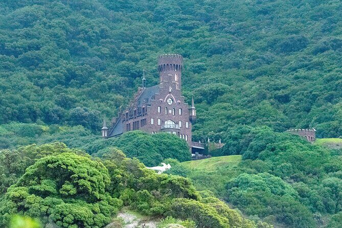 Private Cape Point / Peninsula Tour - FAQ