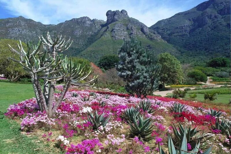 Private Cape Town and Garden Route Splendour - The Value of This Tour