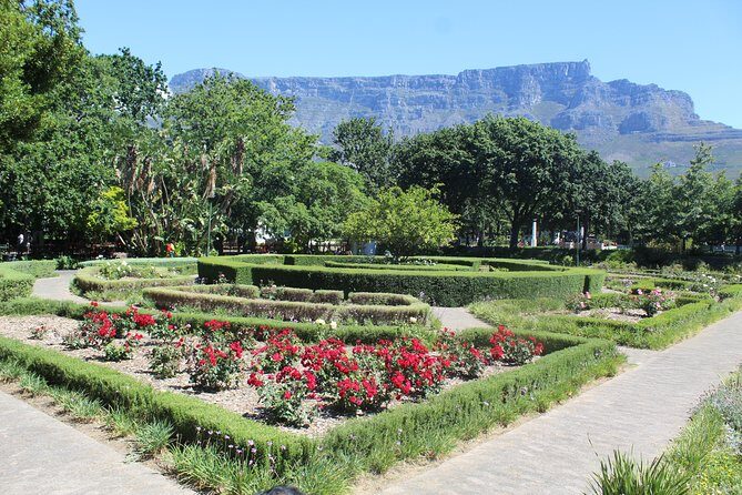 Private Cape Town City Tour Table Mountain + Cable car ticket H/D - Who Will Love This Tour?