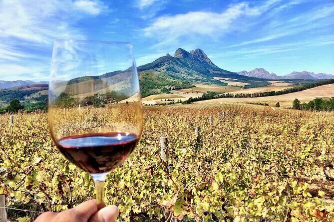 Private Cape Town City Tour table Mountain with wine tasting - A Thorough Look at the Cape Town Private Tour Experience