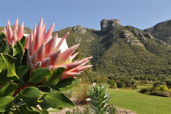 Private Cape Town City Tour table Mountain with wine tasting - Final Thoughts
