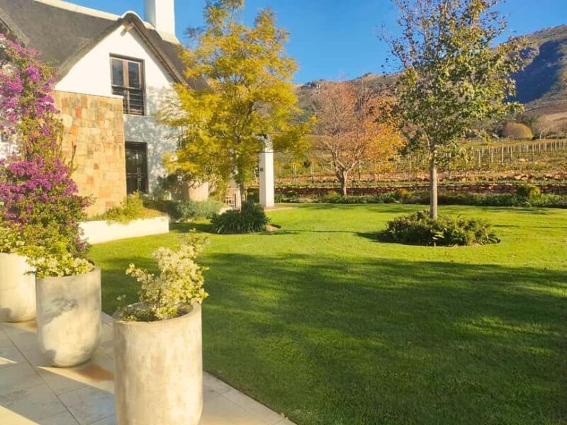 Private Cape Town Wine Tasting: Full-Day Vineyards & Views - Discover the Best of Cape Town’s Wine Scene with a Private Full-Day Tour