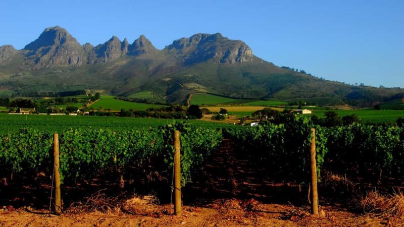 Private Cape Town Wine Tasting: Full-Day Vineyards & Views - Key Points