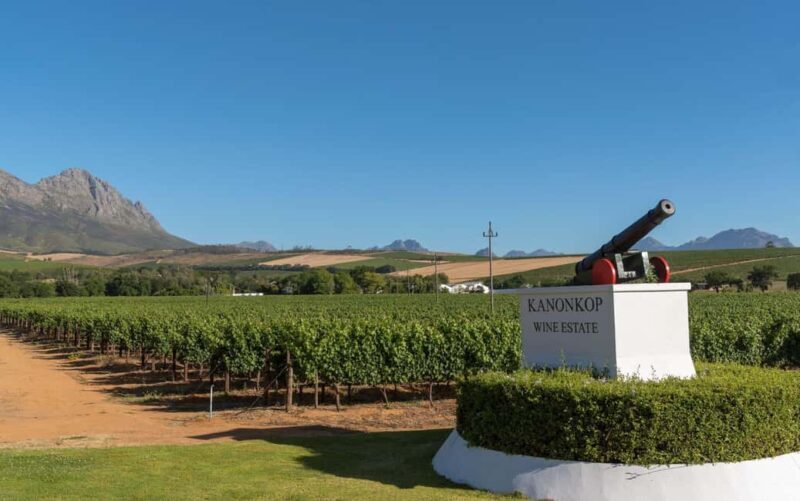 Private Cape Town Wine Tasting: Full-Day Vineyards & Views - Who Will Love This Tour?