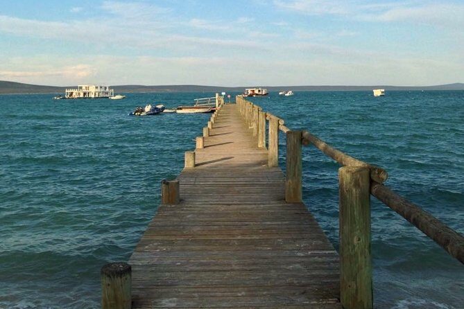Private Cape Towns West Coastal Tour with Quad Bike - Key Points