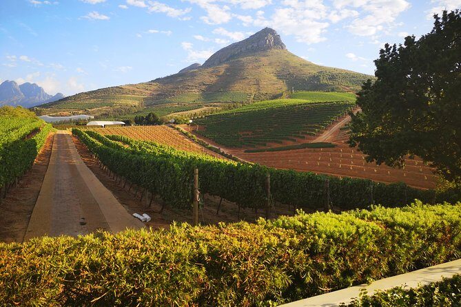 Private Cape Winelands Ful Day Ultra Flexible Guided Tour. - Practical Considerations