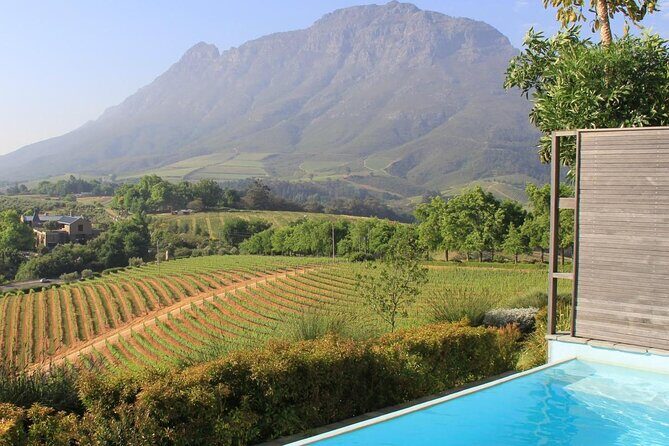 Private Cape Winelands Guided Full Day Tour from Cape Town - Exploring the Cape Winelands: A Private Full-Day Tour from Cape Town