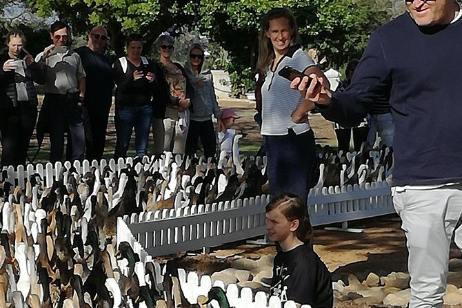 Private Cape Winelands Guided Full Day Tour from Cape Town - FAQ
