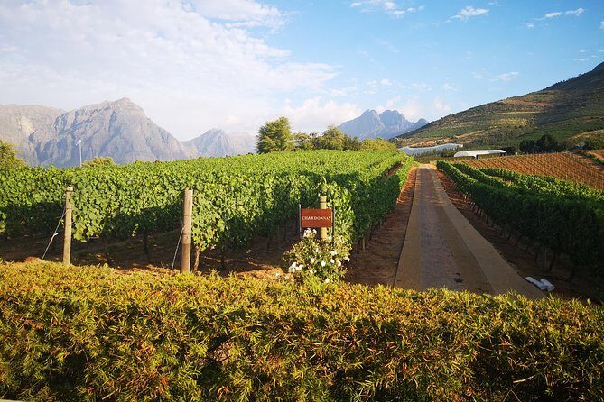 Private Cape Winelands Tour from Cape Town - Practical Details & Tips