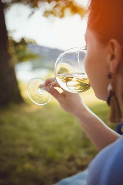 Private Cape Winelands Wine Tasting Tour incl. Transport - Practical Tips for Participants