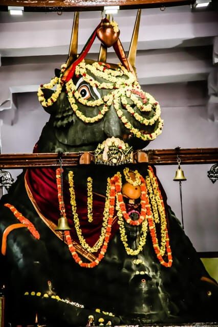 Private car and driver Bangalore Excursion to Bannerghatta - The Experience from Past Travelers