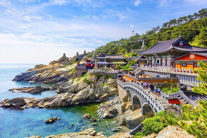 Private Car Charter Tour in Busan City - Practical Considerations and Tips