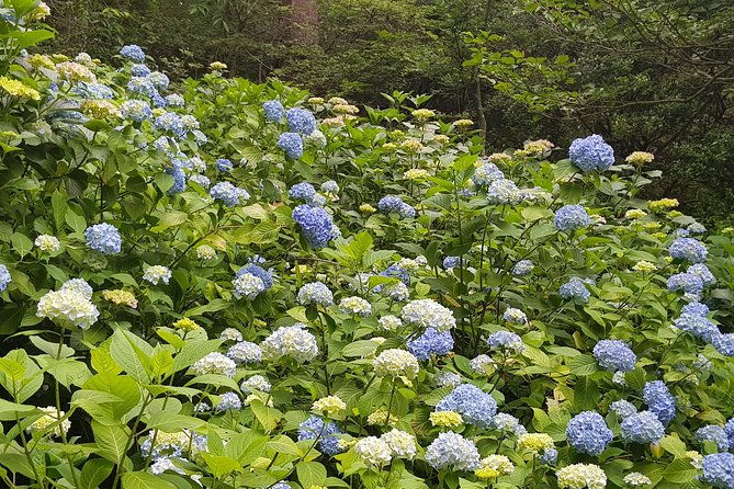 private-car-day-trip-to-the-kobe-mountains-gardens-and-hot-springs-from-osaka