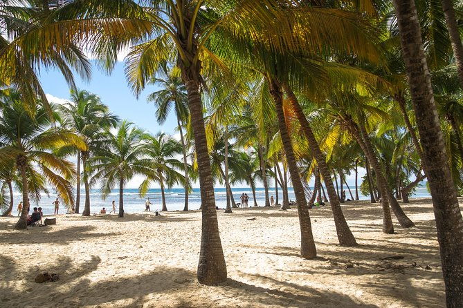 private-car-the-death-in-paradise-tv-show-tour