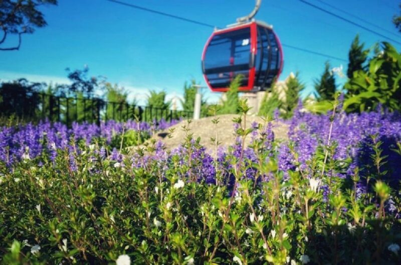 Private Car To BaNa Hills-Golden Bridge From Hoi An/Da Nang - FAQ