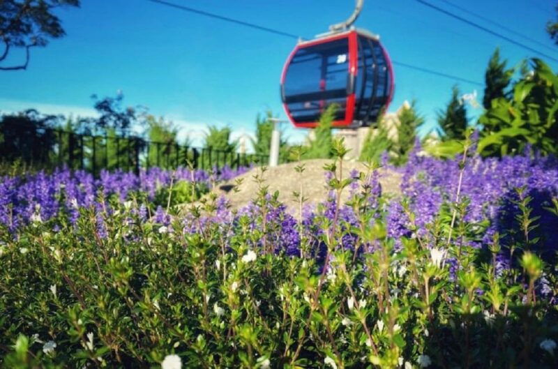 private-car-to-bana-hills-golden-bridge-from-hoi-an-da-nang