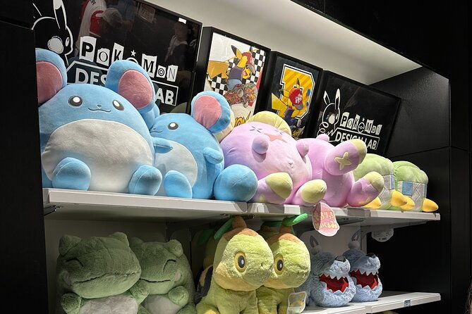 private-car-tour-for-anime-manga-game-and-otaku-tour-in-tokyo