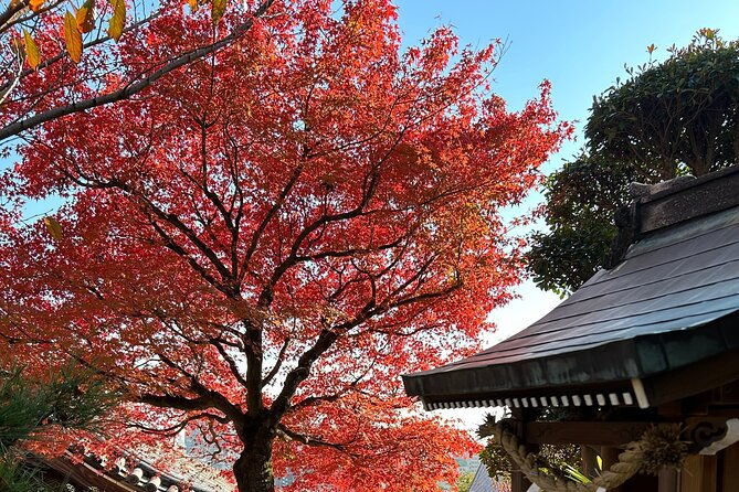 private-car-tour-from-kyoto-to-osaka-by-japanese-guide