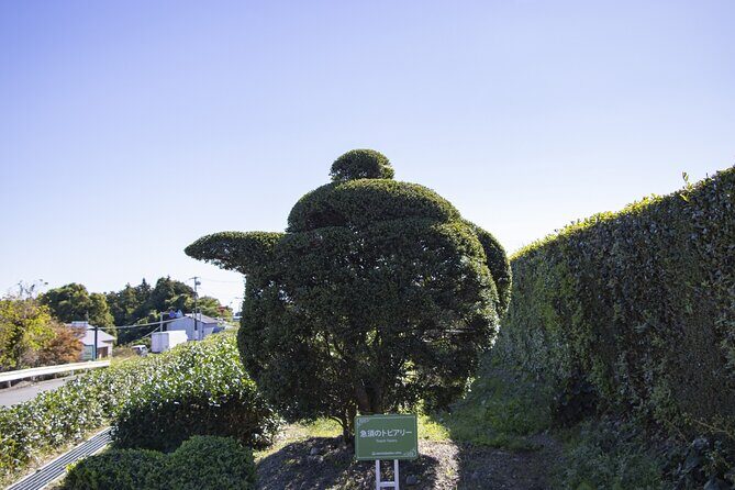 Private Car Tour from Shimizu Port to Visit Kakegawa Tea Culture - Exploring Shizuoka’s Hidden Gems: A Detailed Breakdown