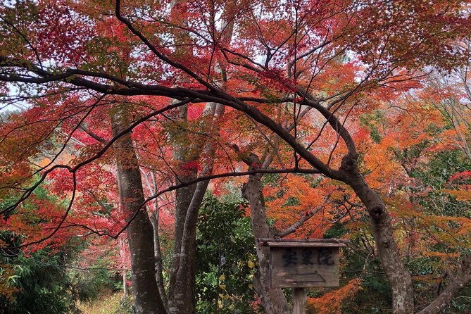 private-car-tour-in-kyoto-up-to-4