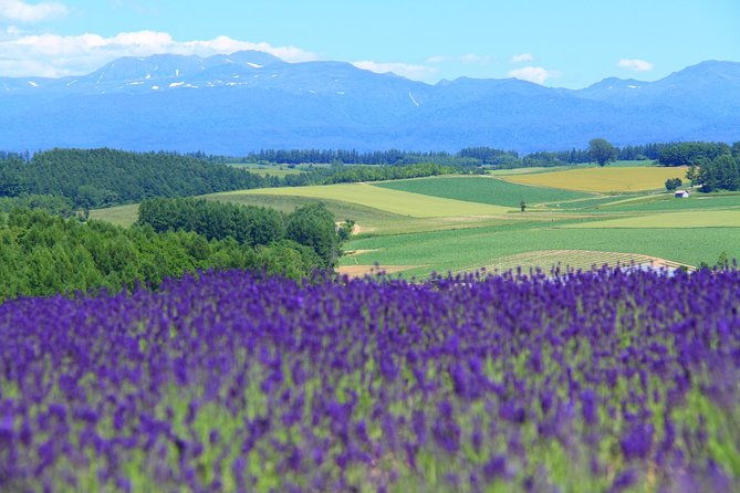 private-car-tour-of-furano-and-biei-in-hokkaido-with-local-guide