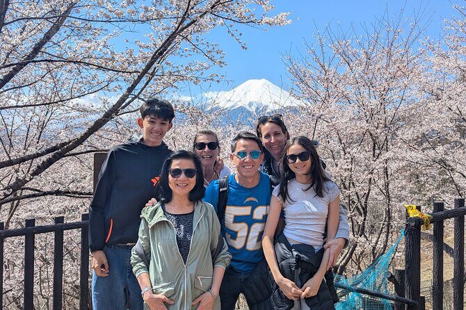 Private Car Tour to Mt. Fuji and Kawaguchiko or Hakone - The Experience: What Sets It Apart