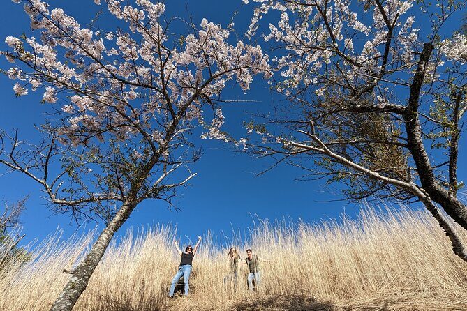 Private Car Tour to Mt. Fuji and Kawaguchiko or Hakone - Final Thoughts: Who Is It Best For?