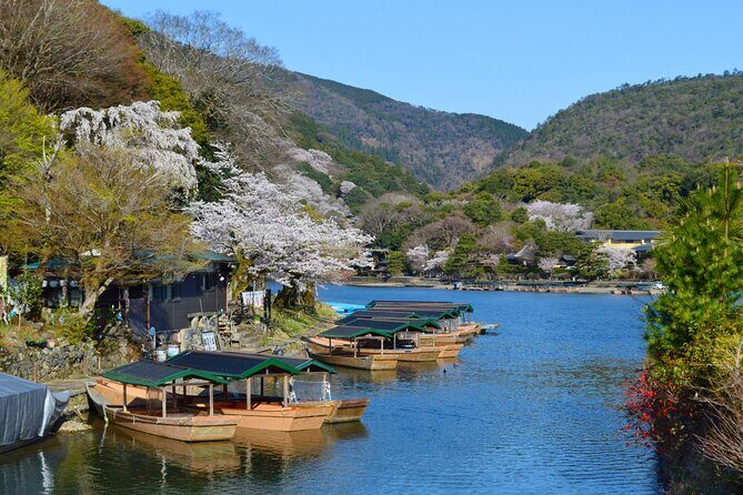 Private Car Tours to Kyoto and Maizuru - Who Is This Tour Best For?