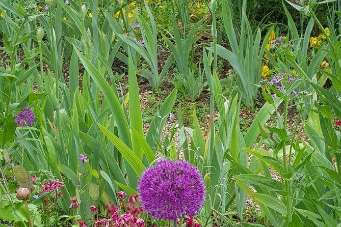 private-car-trip-to-giverny-garden-from-paris