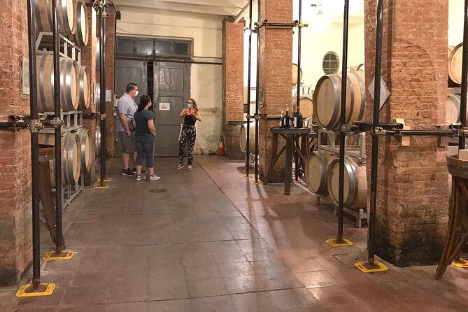 private-carmignano-tour-the-first-cabernet-sauvignon-in-tuscany