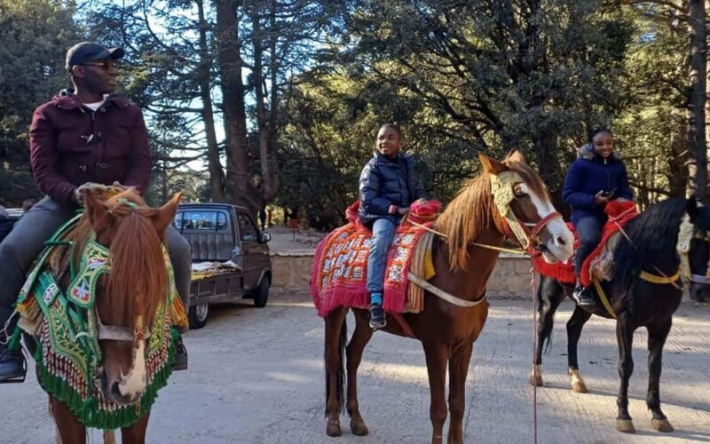 Private Casablanca desert tour 8 days Grand Morocco Tour - Practical Details and Considerations