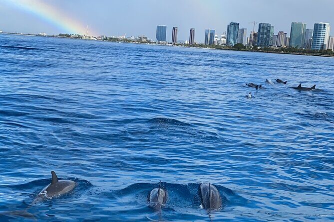 Private Catamaran Cruise and Snorkeling Tour in Honolulu - Who Would Love This Experience?