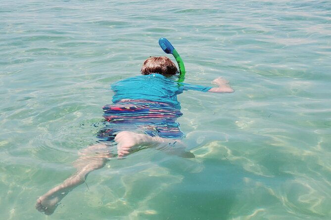 private-catamaran-snorkel-swim-and-dolphin-watching