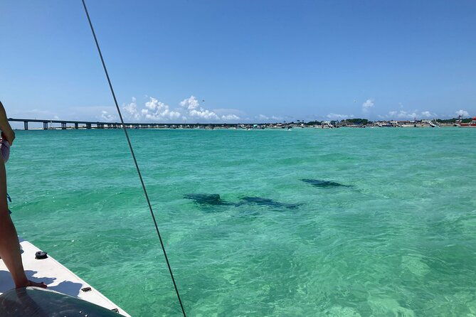private-catamaran-snorkel-swim-and-dolphin-watching