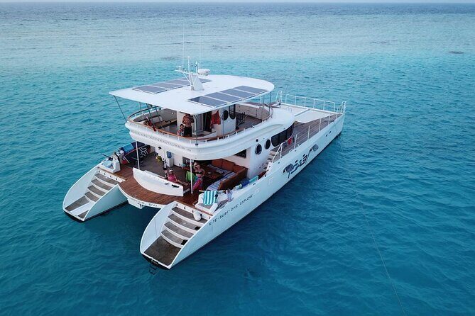 Private Catamaran - Stone Town Islands & Sandbanks (8 hrs) - The Itinerary in Detail