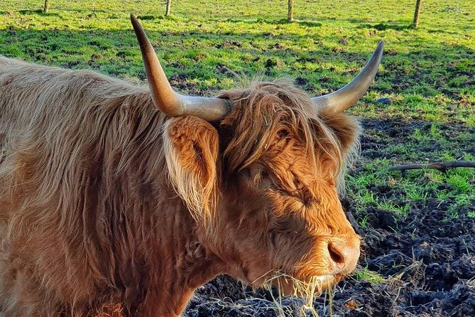 private-central-highlands-driving-tour